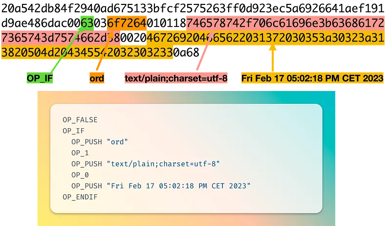见证数据编码分析