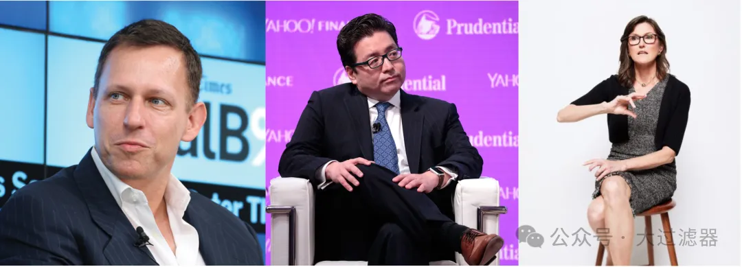 Peter Thiel, Tom Lee, Cathy Wood - key investors